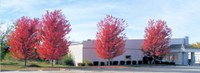 Golden City Library Location Photo